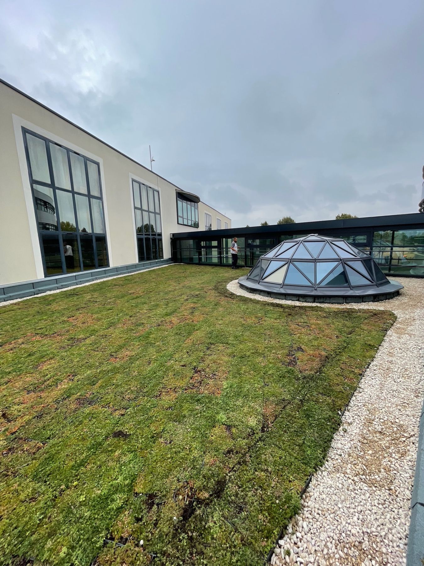 Toiture végétalisée en sedum avec chemin de galets autour d'un dôme vitré