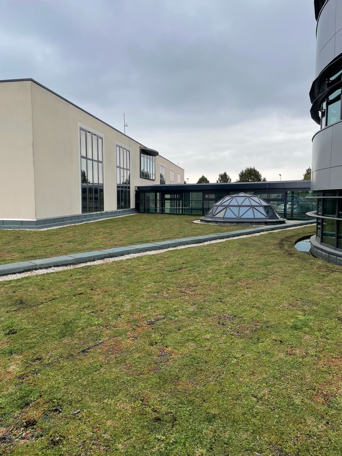 Vue d'ensemble de la toiture végétalisée en sedum du bâtiment tertiaire
